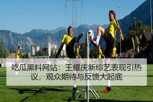 吃瓜黑料网站：王耀庆新综艺表现引热议，观众期待与反馈大起底